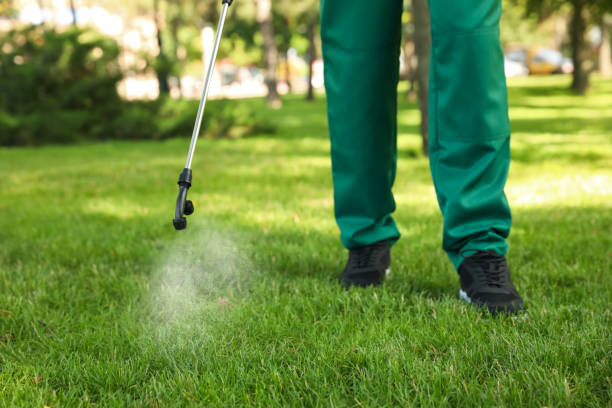 Best Ant Control Services  in Pocono Springs, PA